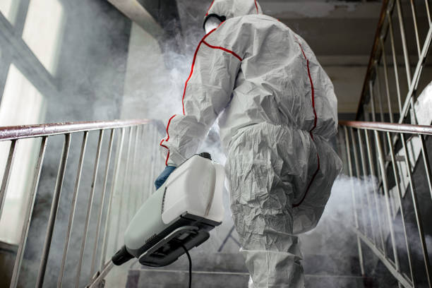 Hebron, IL Mold Removal Company